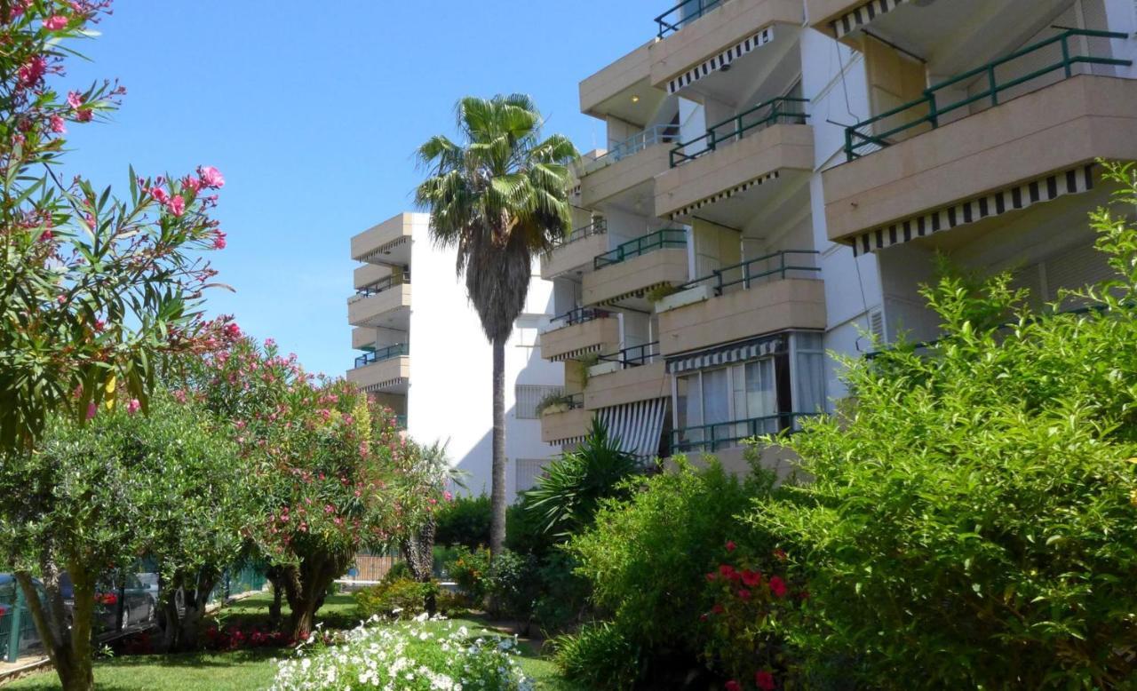 Apartamentos Colon 살루 외부 사진